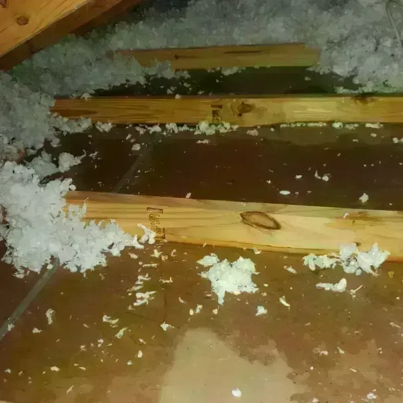 Attic Water Damage in New Carlisle, IN