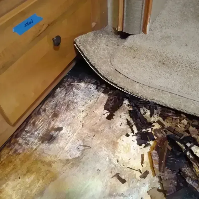 Best Wood Floor Water Damage Service in New Carlisle, IN